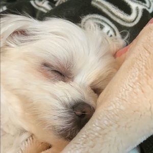 Meet your Posher, Gina